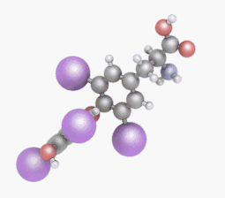 tiroksin_c15h11i4no4 triyodtironine_c15h12i3no4 Тироксин (Т4) tiroksin_c15h11i4no4