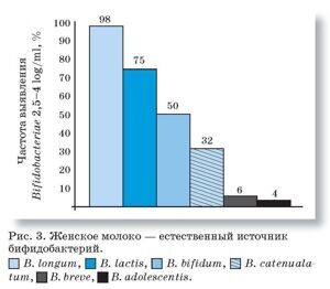 грудное молоко - естественный источник бифидобактерий